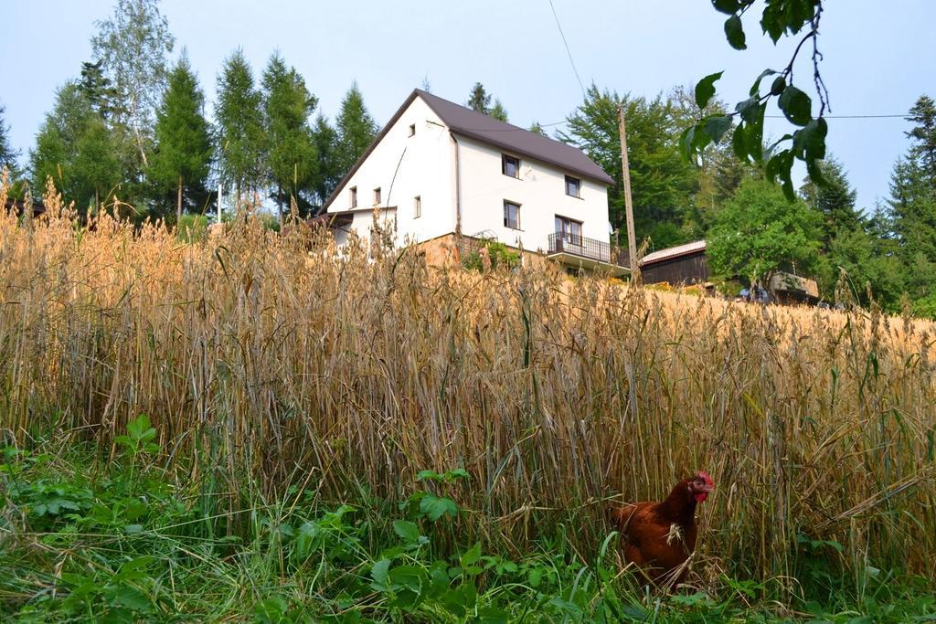 Kwatera Pod Lasem Istebna Esterno foto