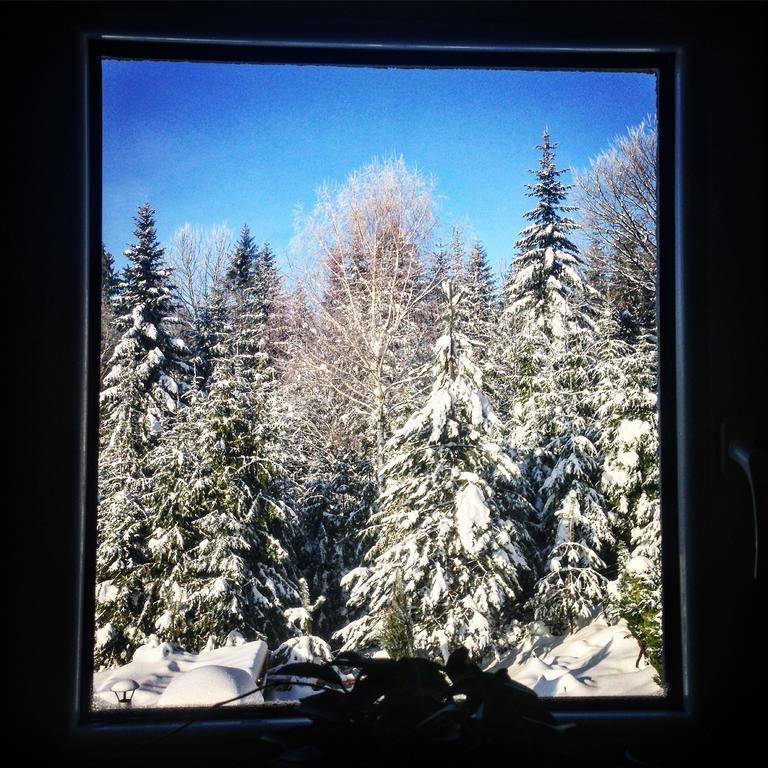 Kwatera Pod Lasem Istebna Esterno foto