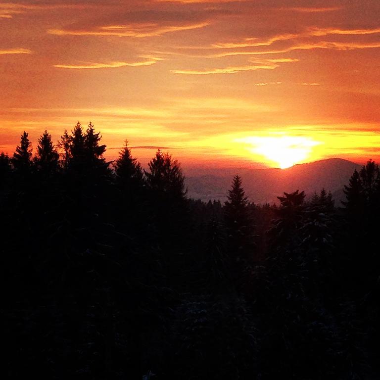Kwatera Pod Lasem Istebna Esterno foto