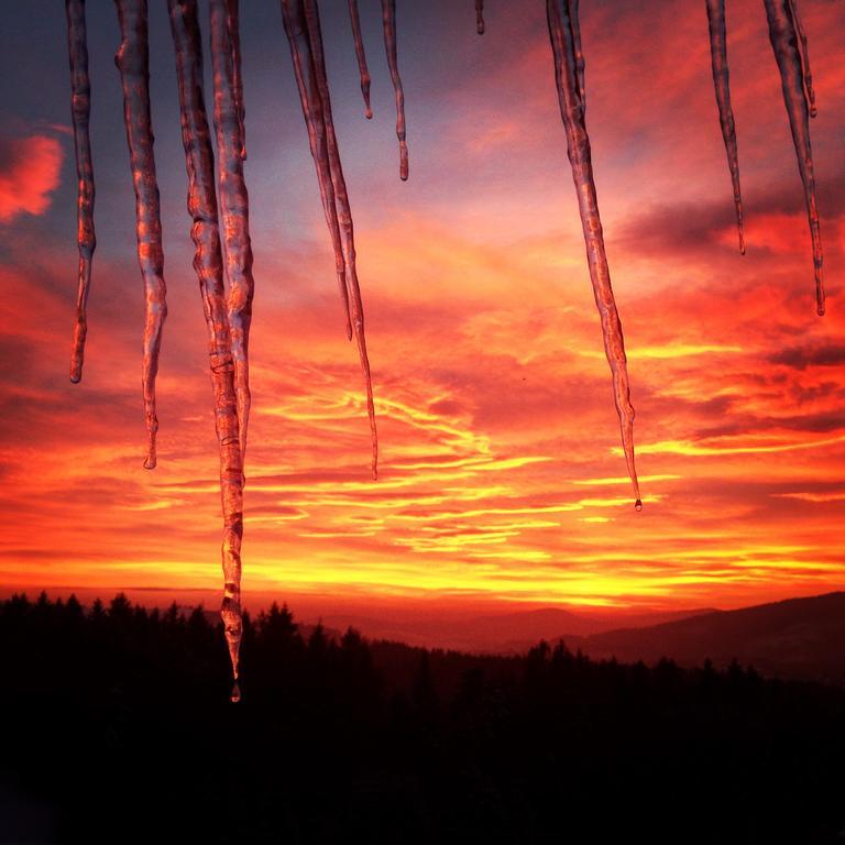 Kwatera Pod Lasem Istebna Esterno foto